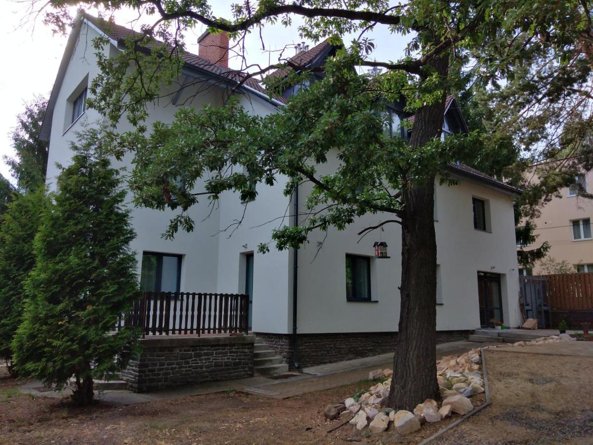 Diana Panzio Bed & Breakfast Matrafured Exterior photo