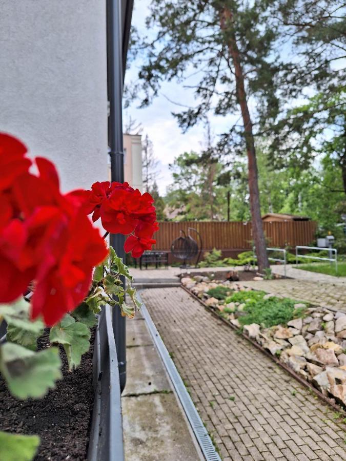 Diana Panzio Bed & Breakfast Matrafured Exterior photo
